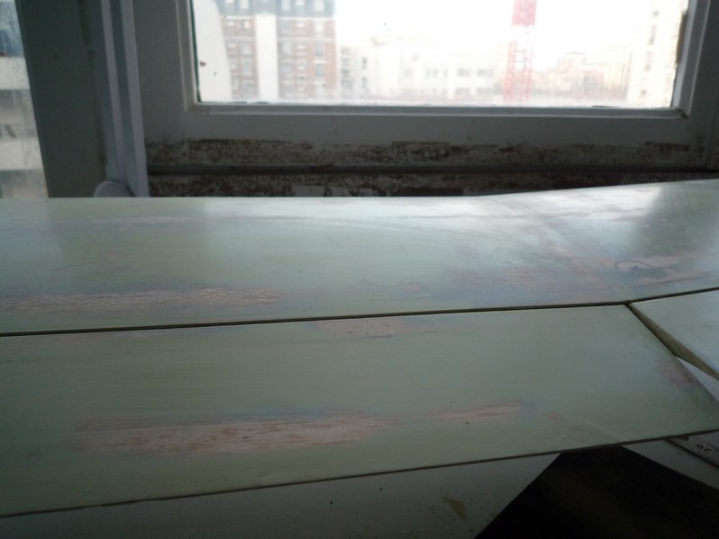 P1010877.JPG